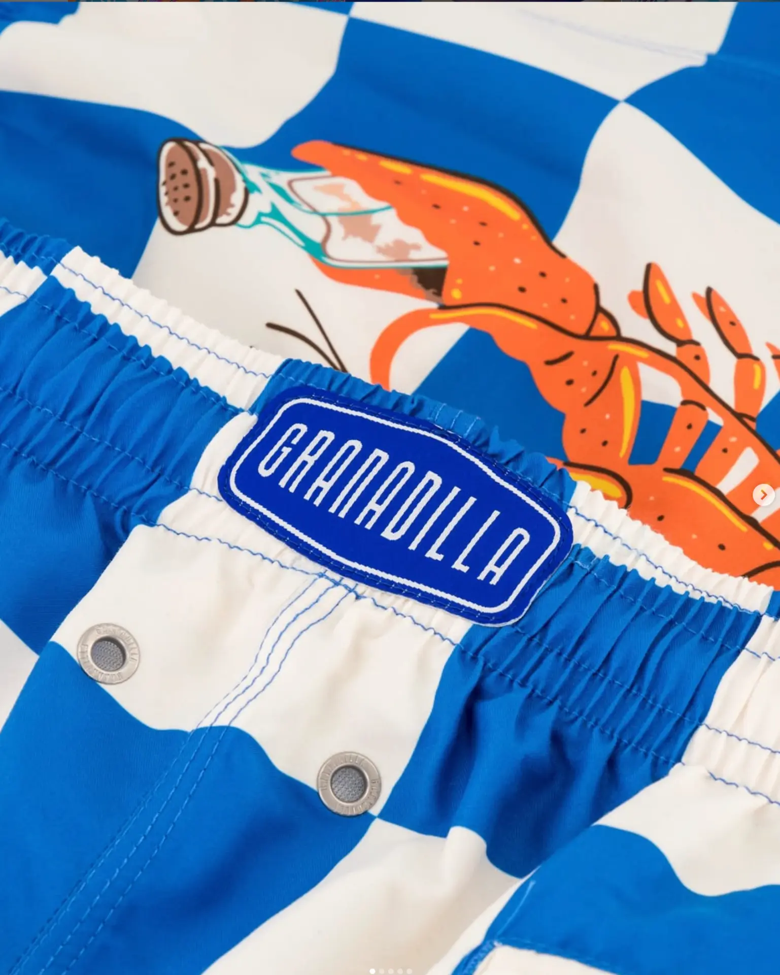 Granadilla woven logo patch on blue and white checked swim shorts
